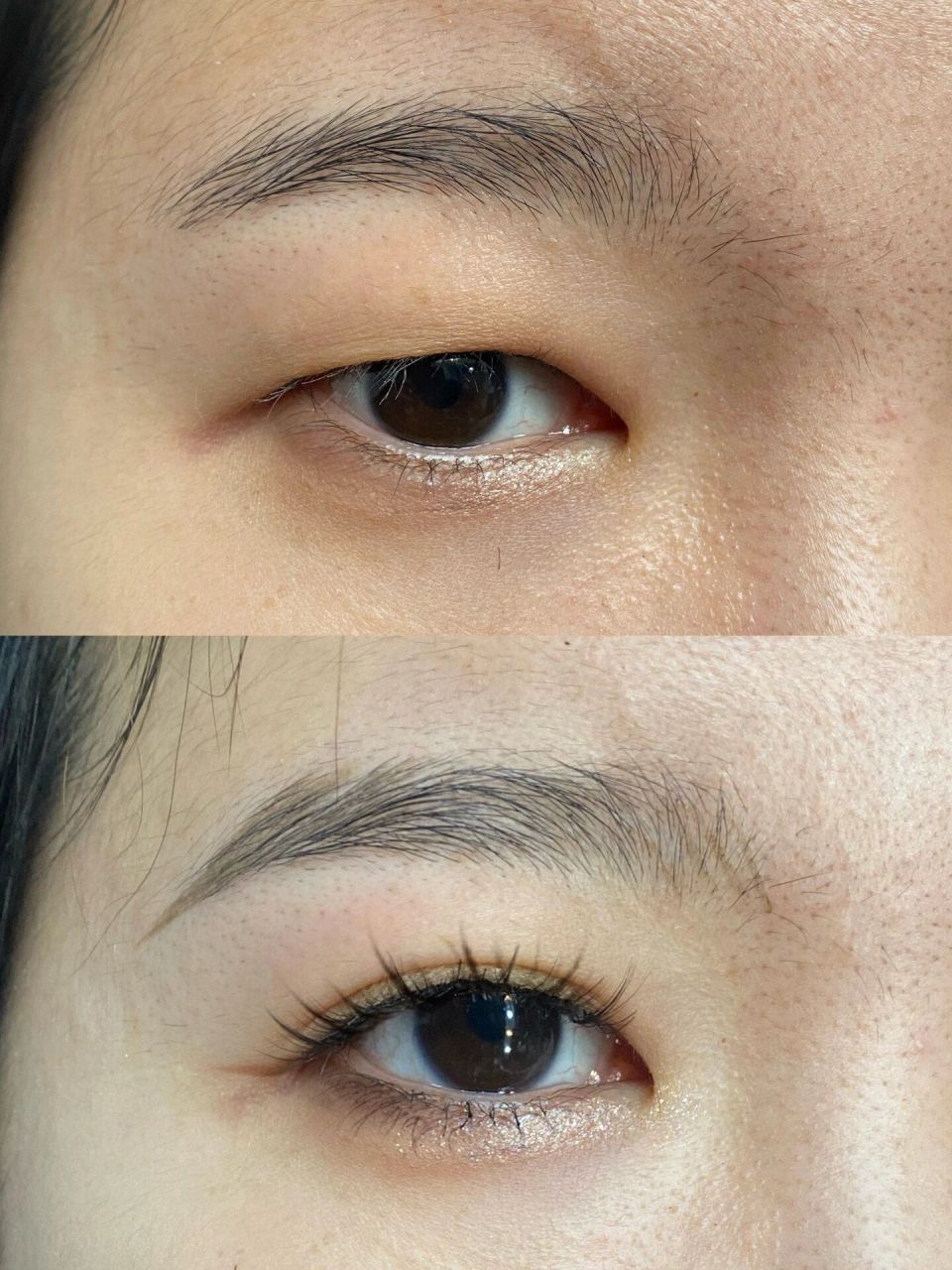 标准三角眼图片  三角眼长这样