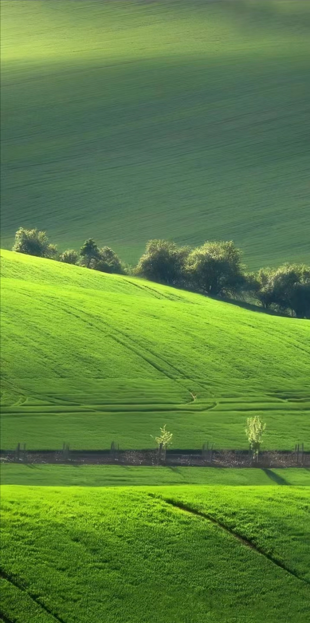 绿色系壁纸,春的颜色 "记." "07be with u." "叮咚～投递日常94.