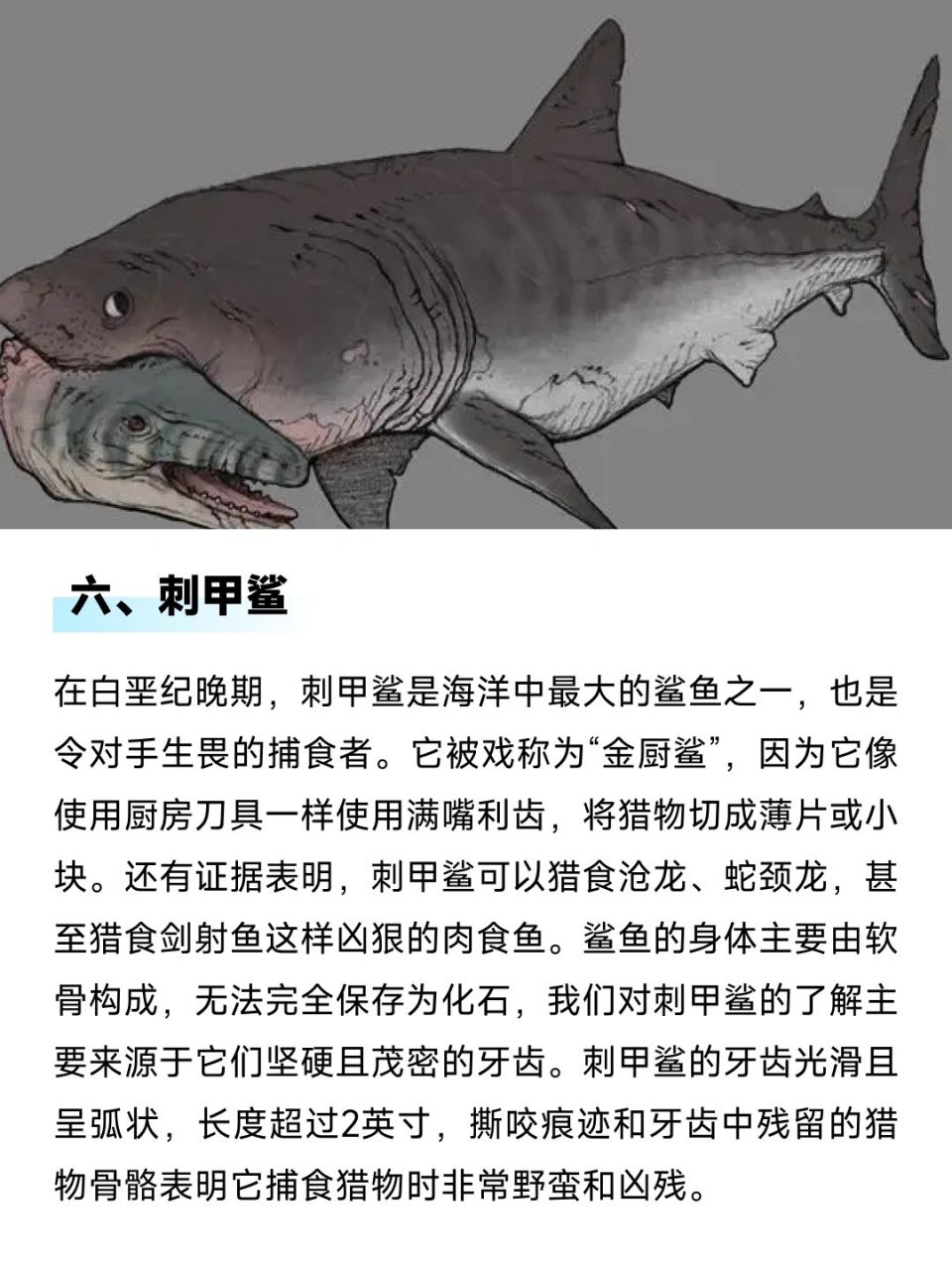 远古海洋第一霸主图片