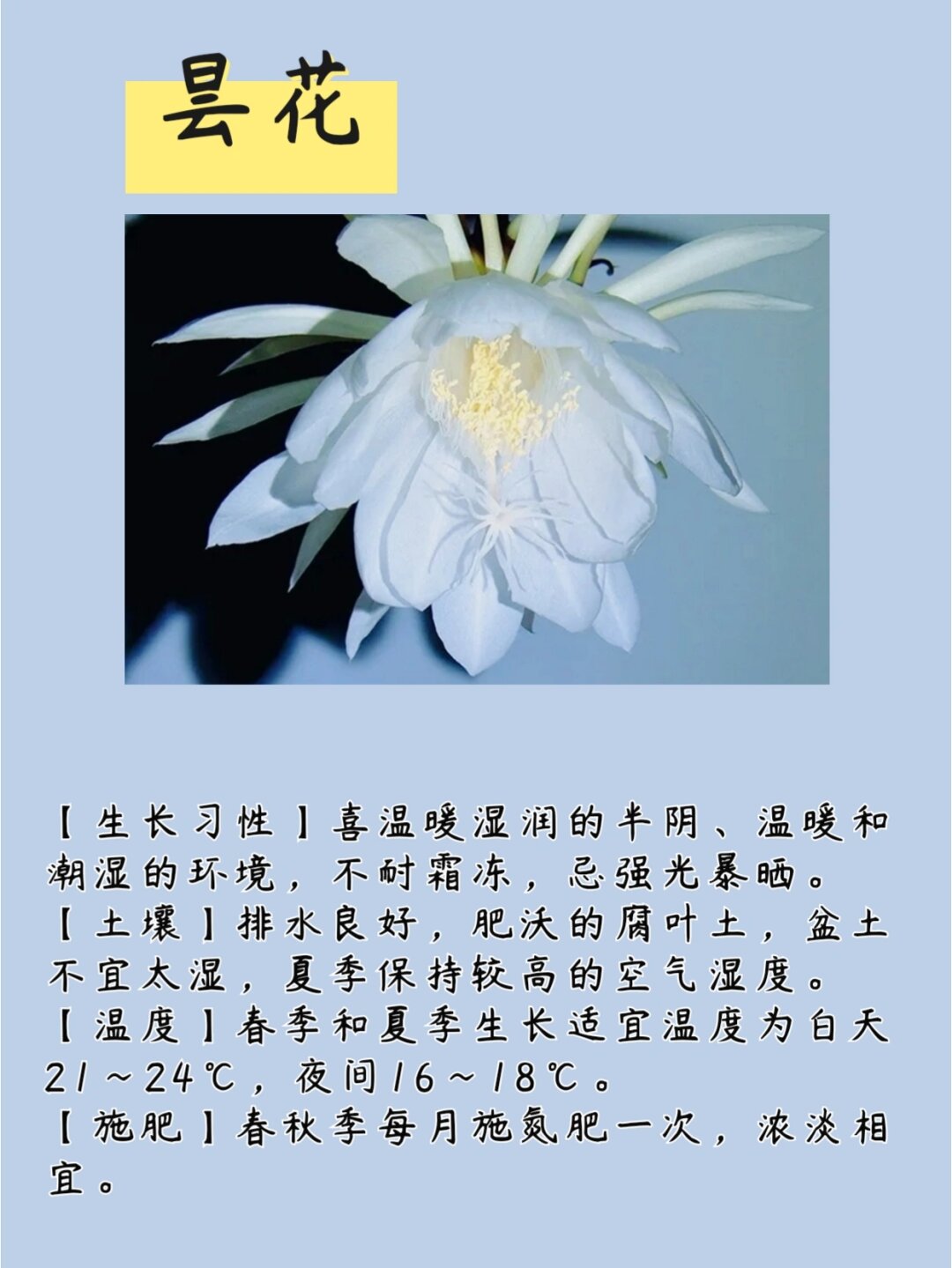 昙花的花语和象征意义  昙花,那一瞬的绽放,却足以美了一生.