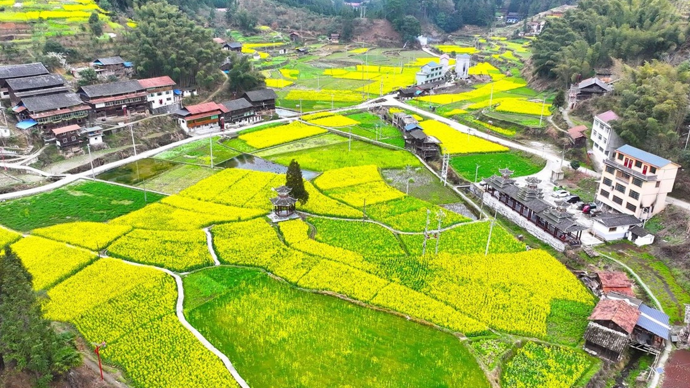 贵州黔东南的锦屏县大同乡大兴村,一幅壮丽的画卷正在悄然展开.
