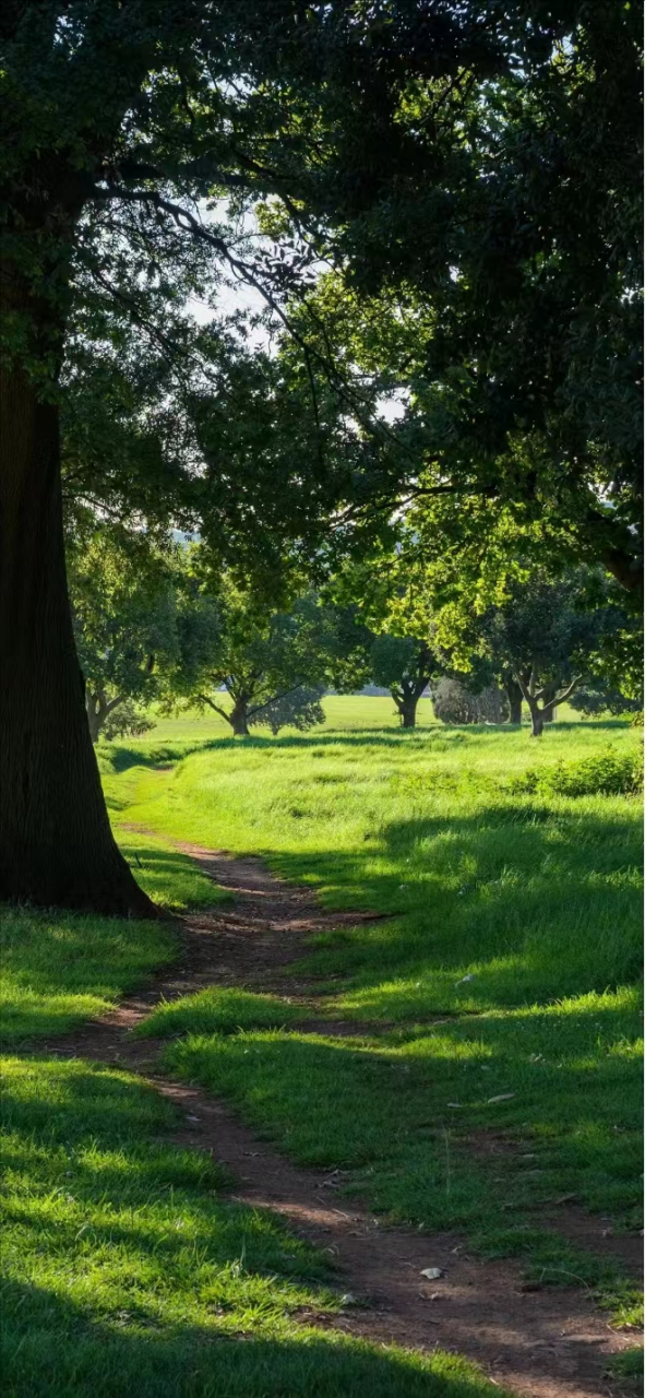 绿色森系壁纸来啦宝宝们~ ☻近日glad ʚ◡̈⃝ɞ想让