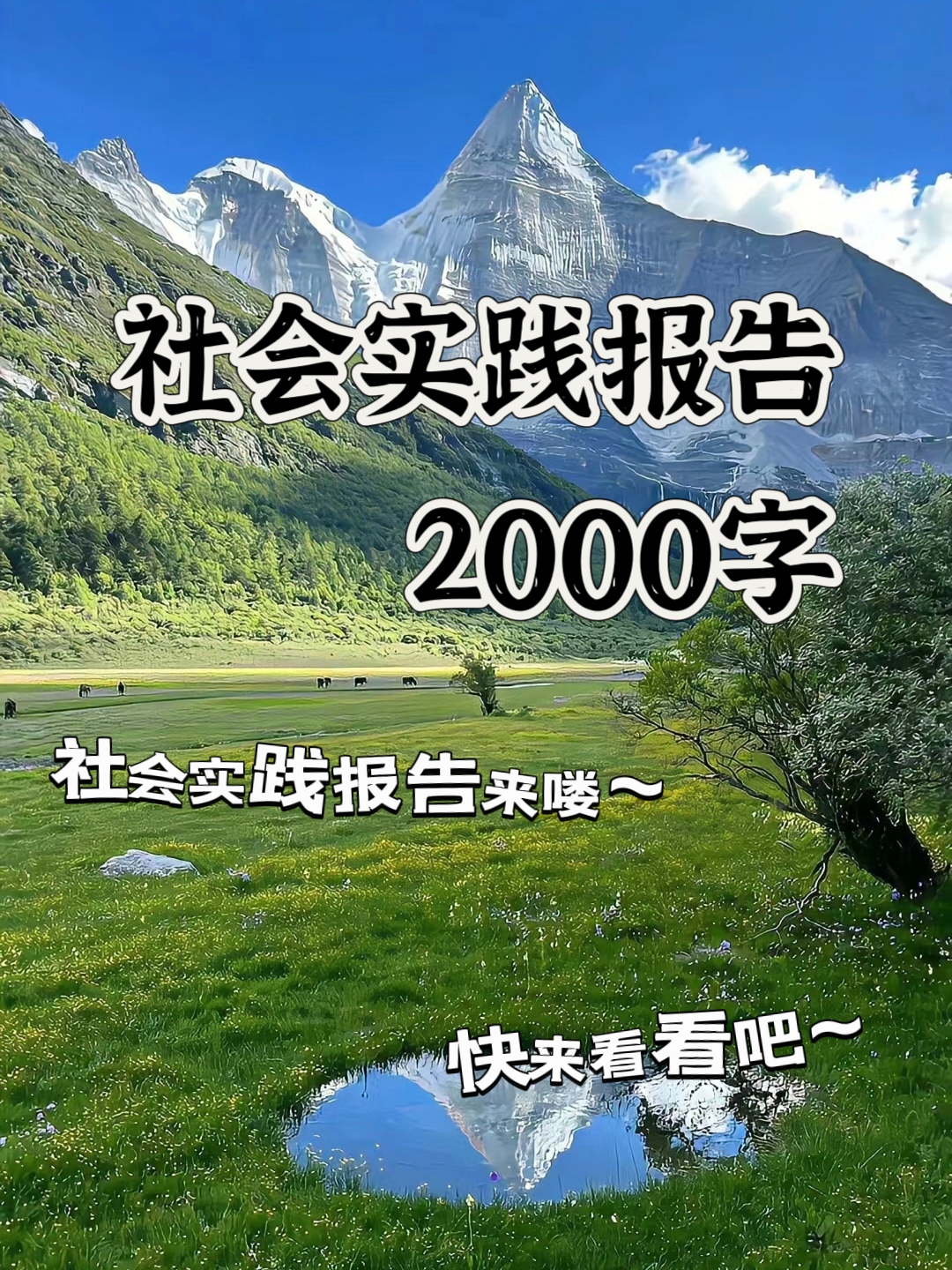 社会实践报告2000字 家人们,今天我来给大家分享一下社会实践报告的