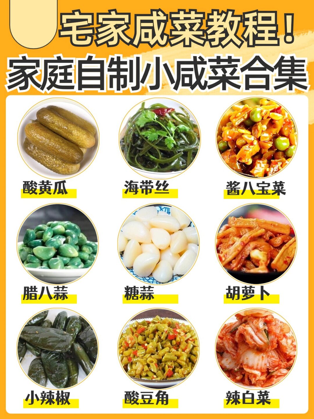 给大家咸菜大全 品种常见的咸菜早餐小咸菜100例咸菜品种大全早餐小