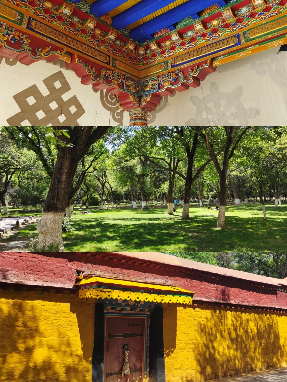 被严重低估的拉萨景点罗布林卡  今天我要给大家分享一个在拉萨旅游中