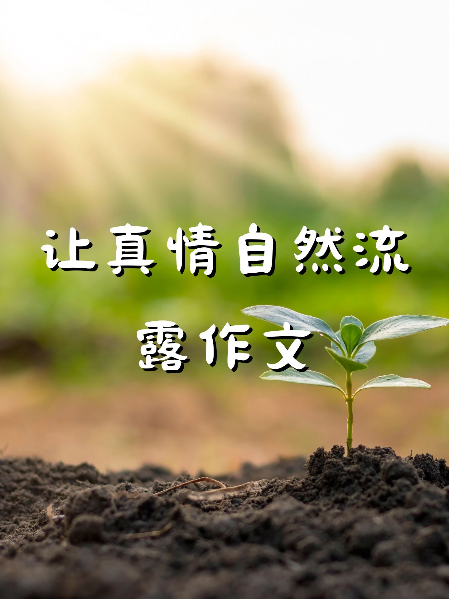 真情,就像那初春的阳光,温暖而柔和,它悄悄地流淌在我们的心间,无需