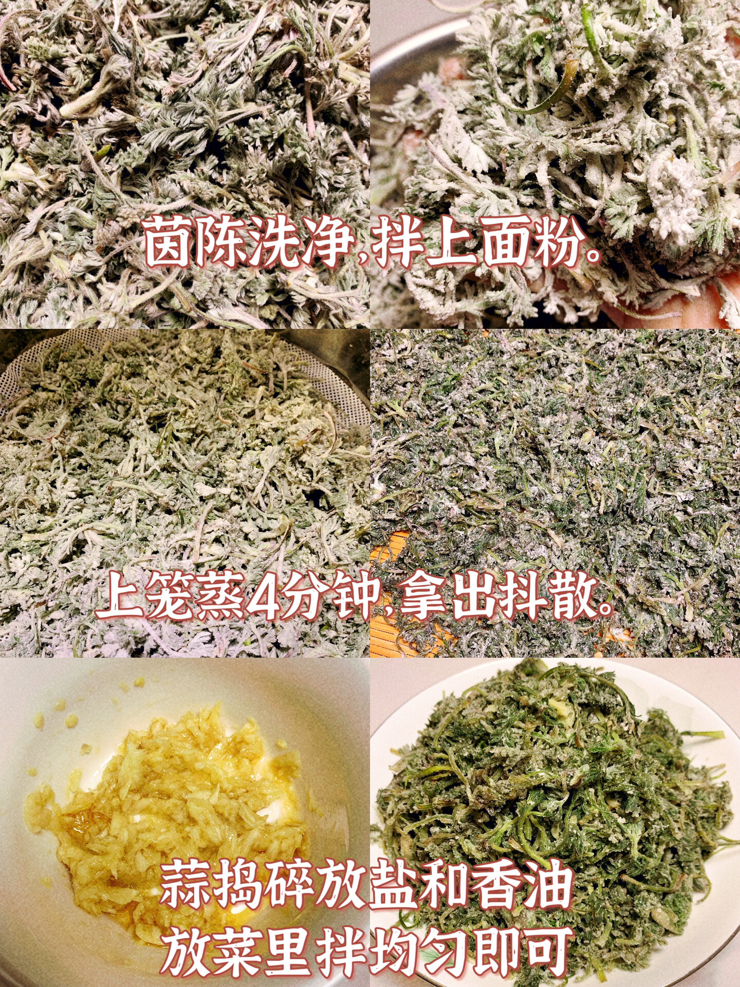 茵陈的食用方法图片