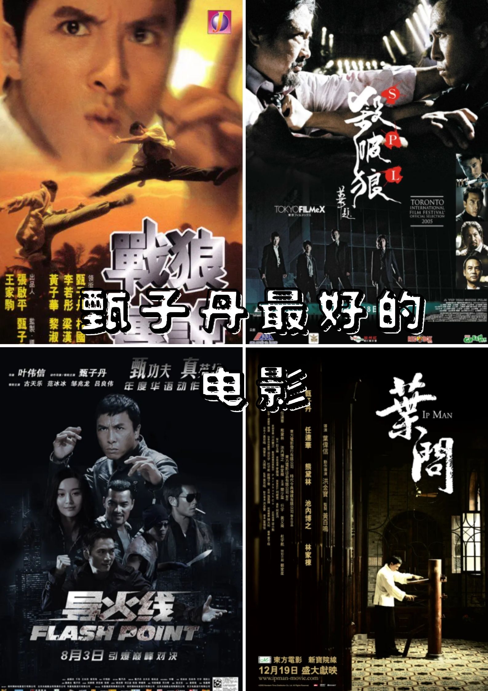 甄子丹年轻演过的电影