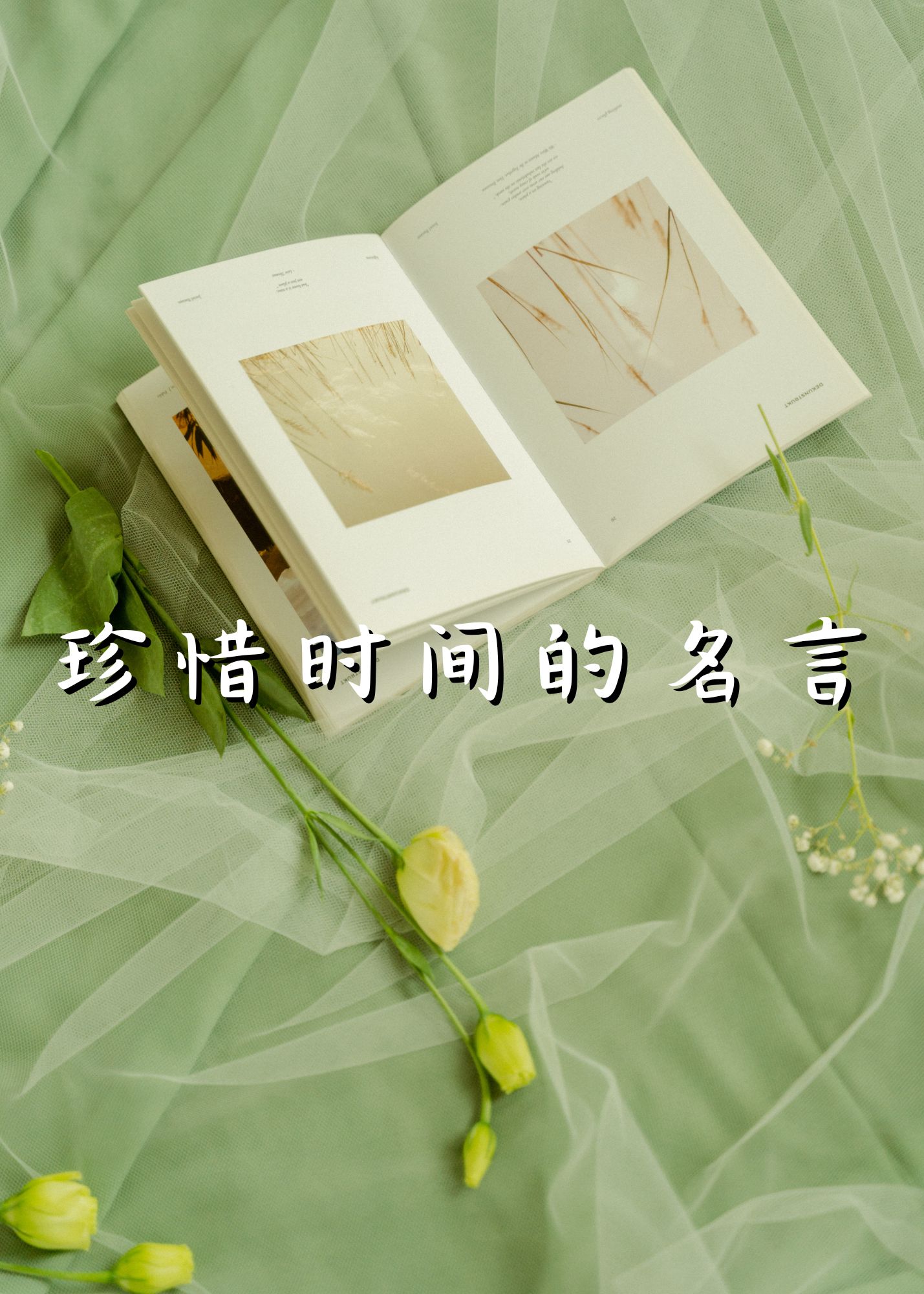 时间就像海绵里的水,只要愿挤,总还是有的