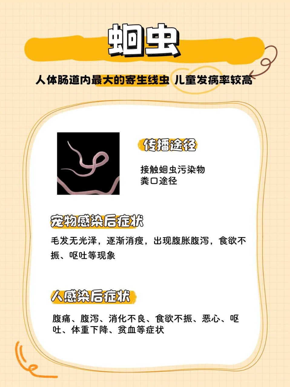 今天我要和大家分享一个重要的话题:寄生虫!