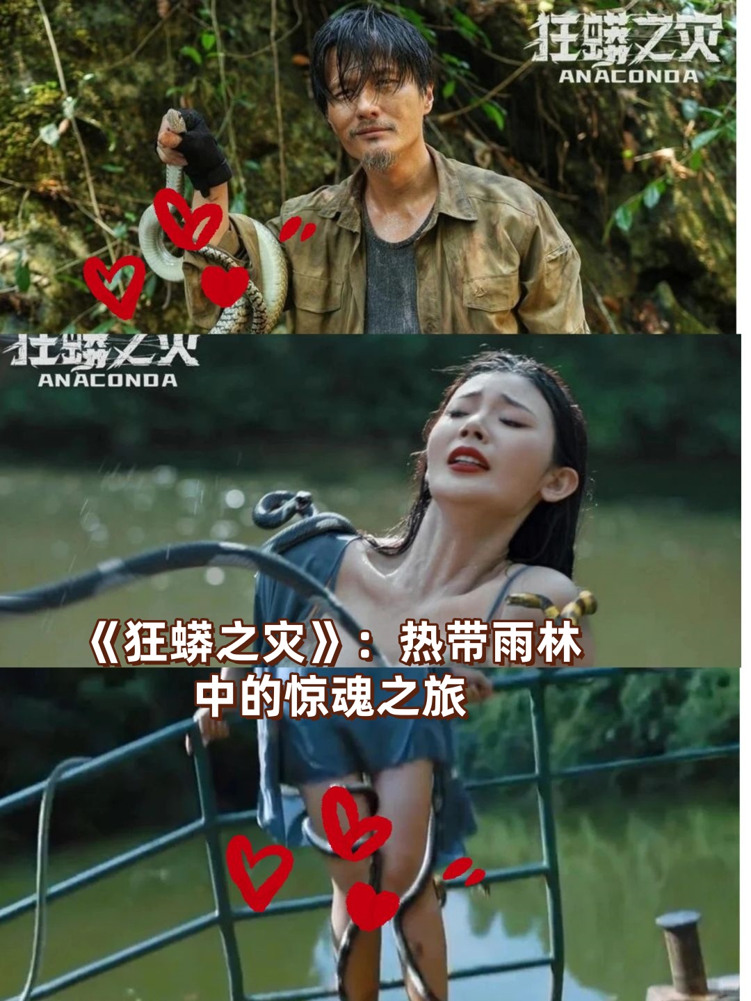 **《狂蟒之灾》:热带雨林中的惊魂之旅**   由徐冬冬的未婚夫尹子维