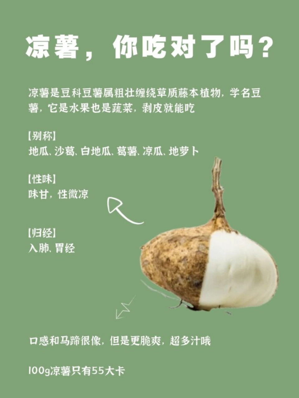 凉薯你吃对了吗?