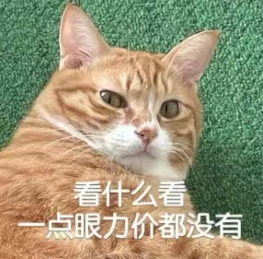 猫咪段子16mb图片