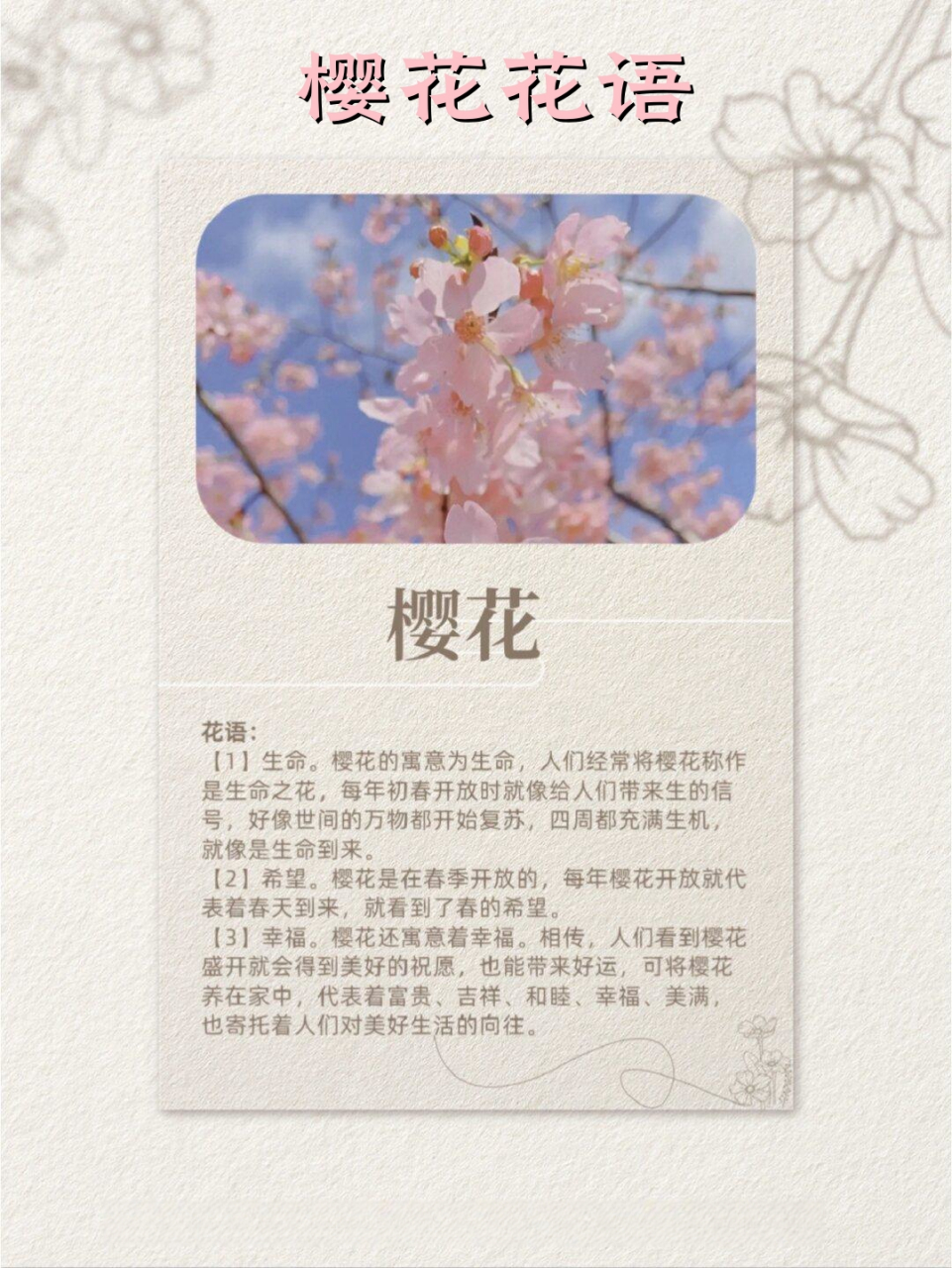 樱桃李花花语图片