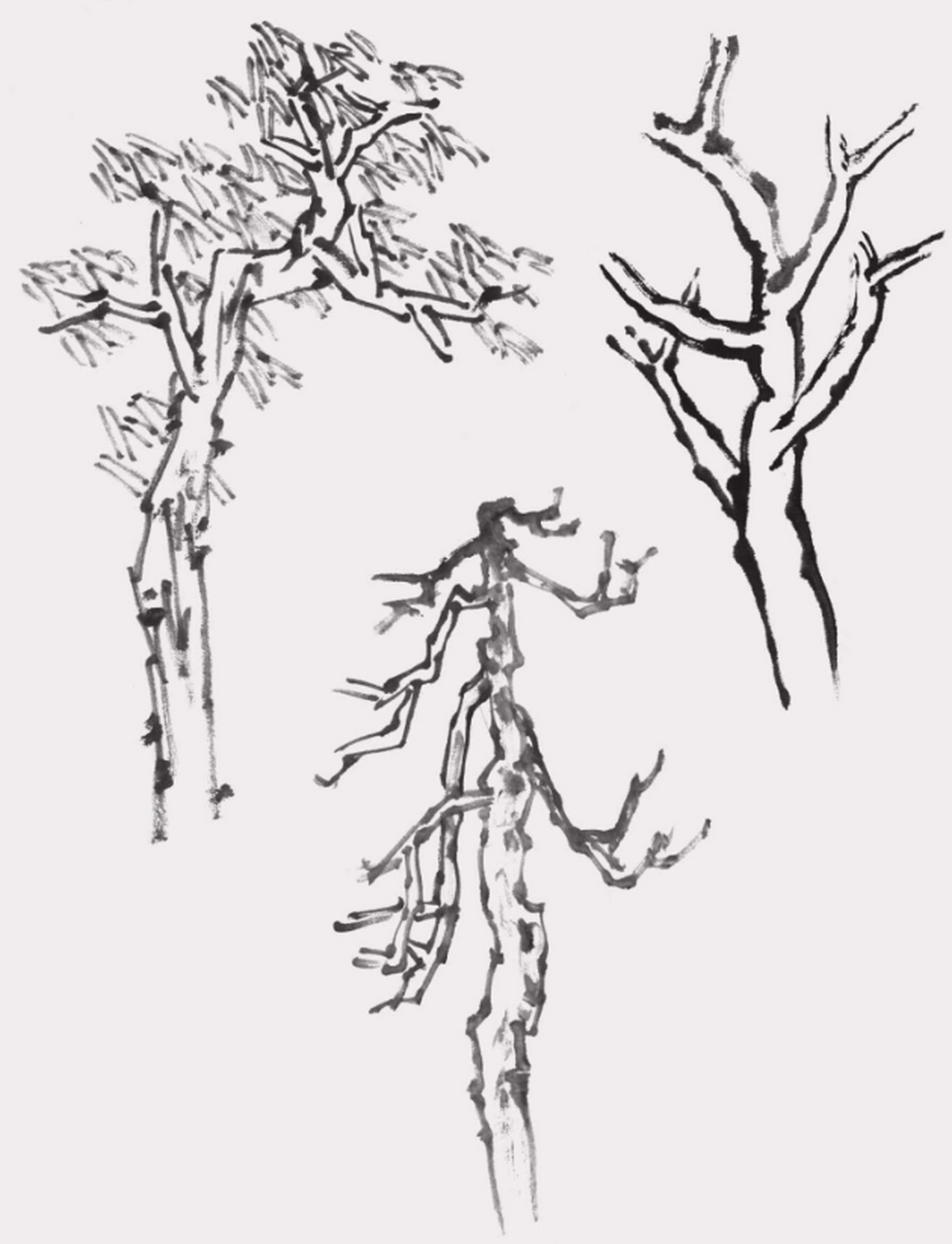 国画树干的画法步骤