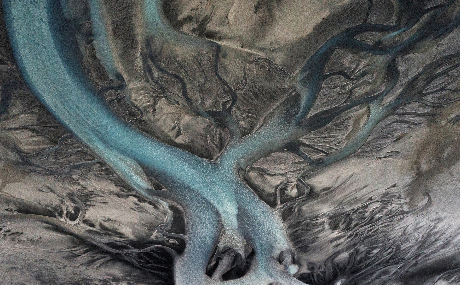 milvus国际自然摄影大赛获奖作品自然类