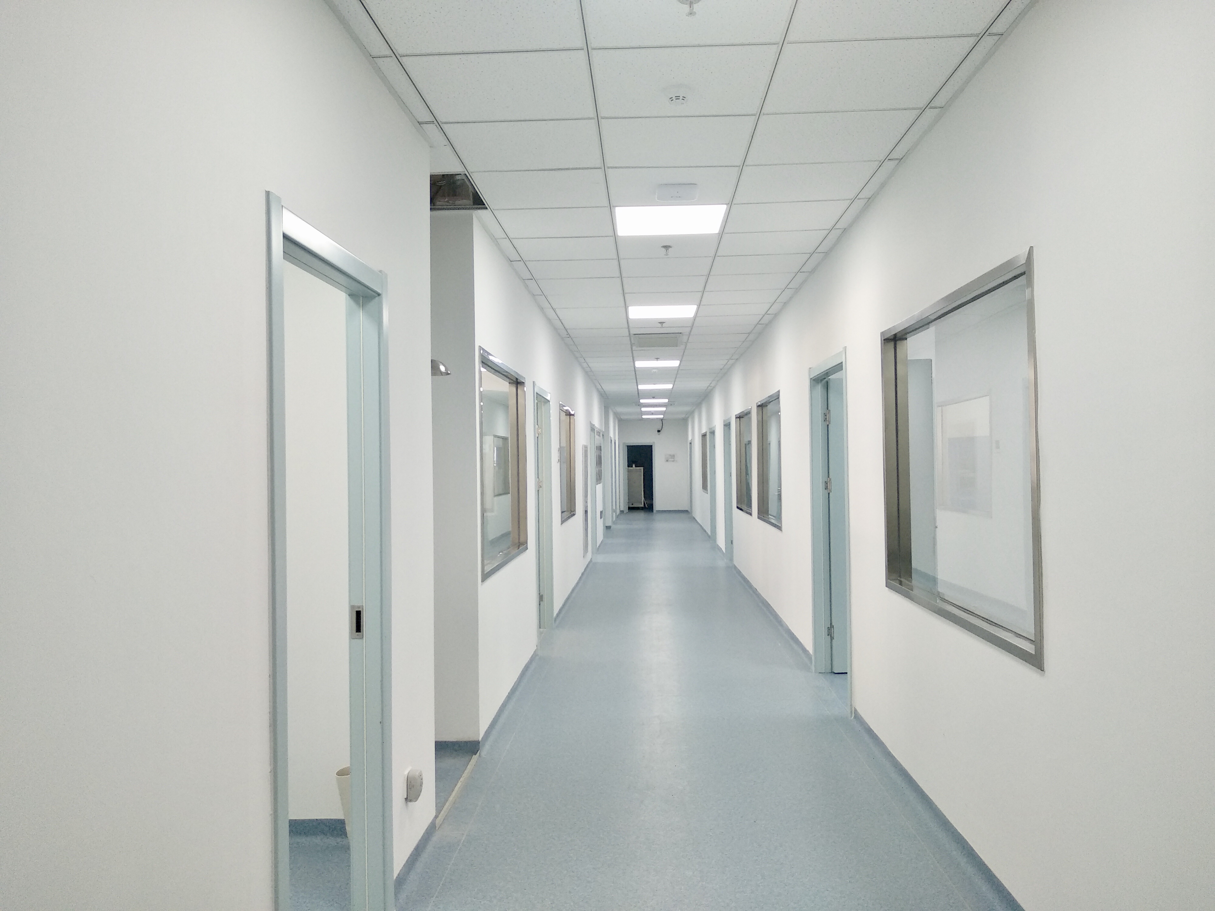 上海自贸壹号生命科技产业园,上海浦东张江生物医药实验室-首页