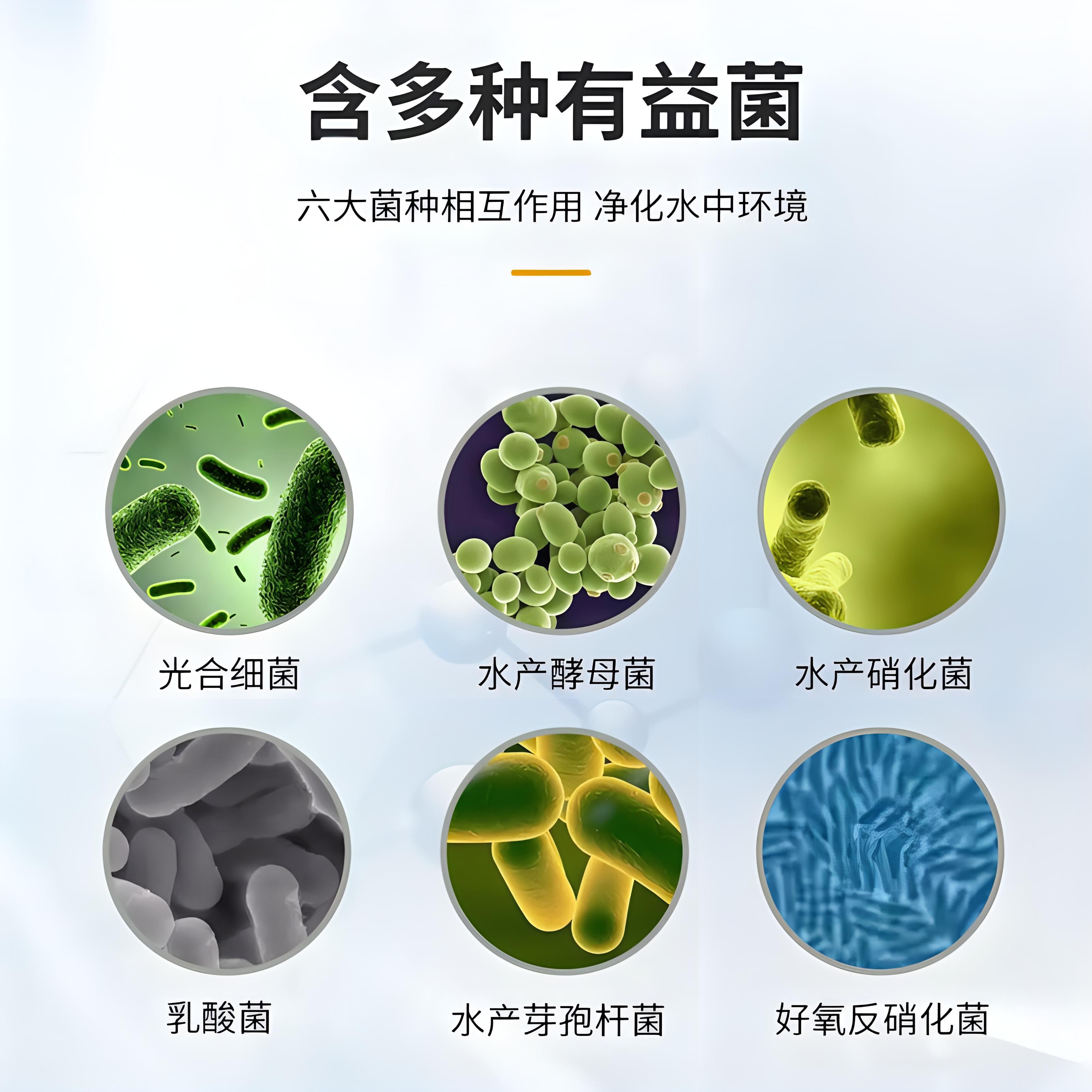 鱼缸硝化细菌胶囊使用宝典揭晓!