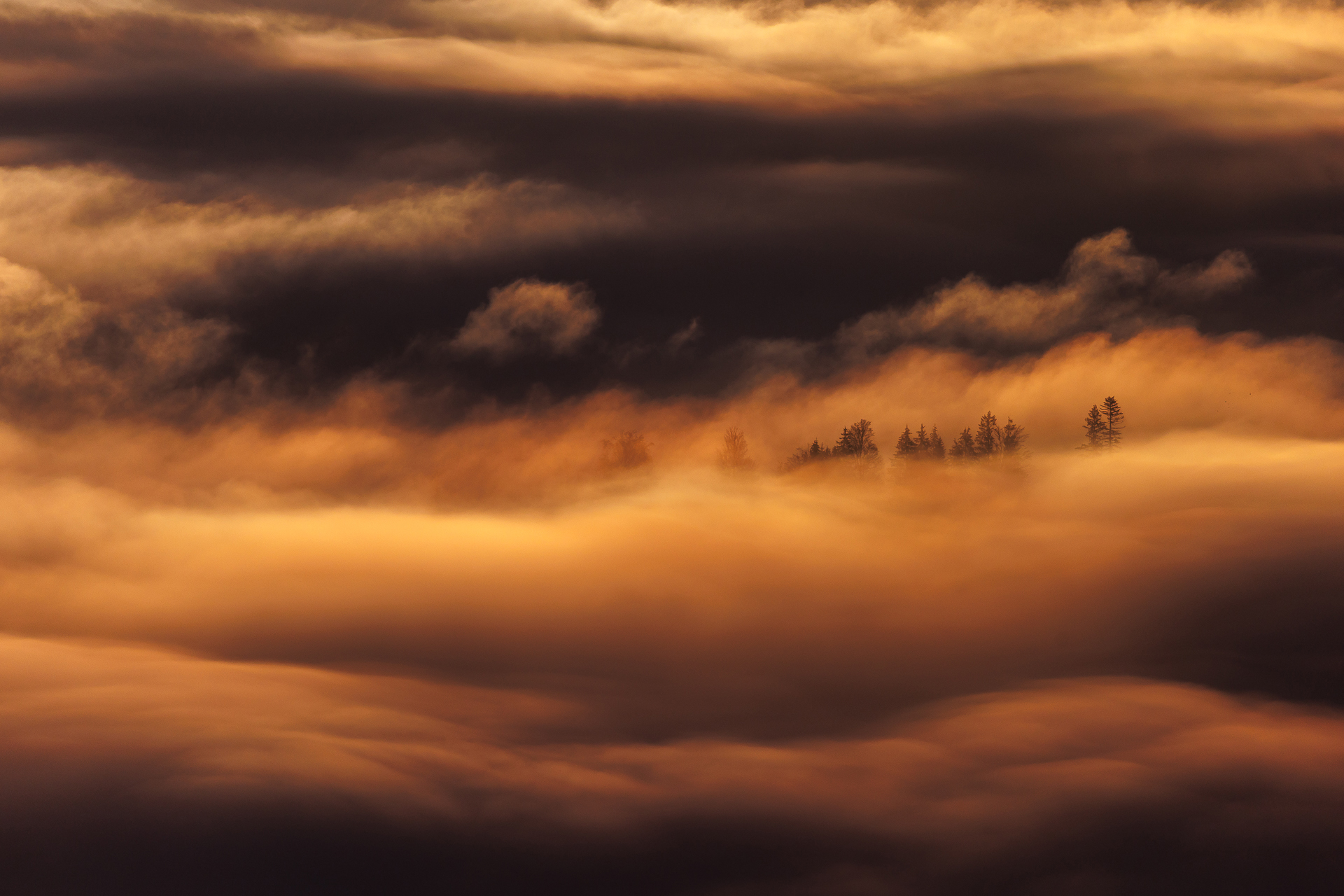 milvus国际自然摄影大赛获奖作品自然类