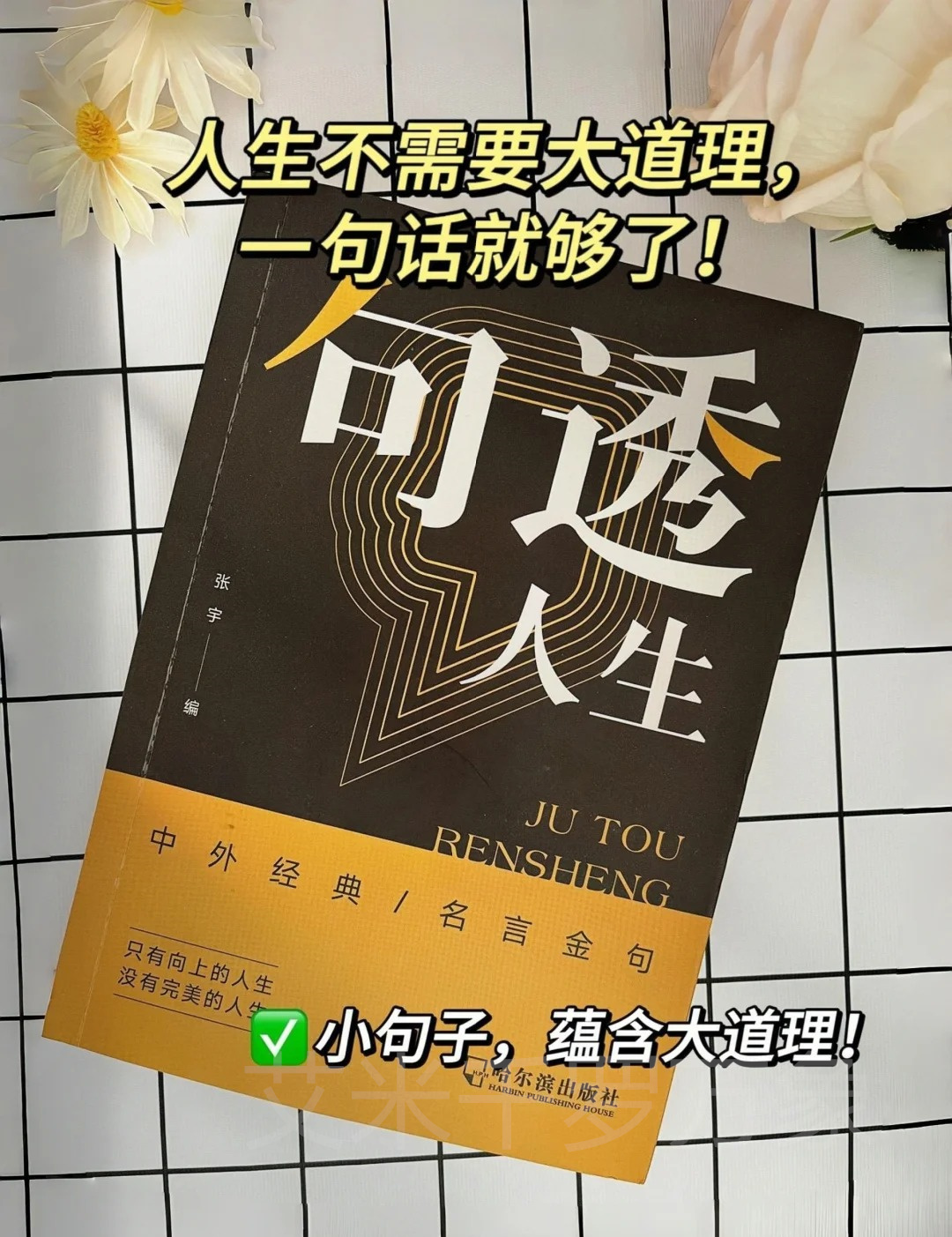 《剧透人生》小句子蕴含大道理,人生不需要大道理,一句话就够了