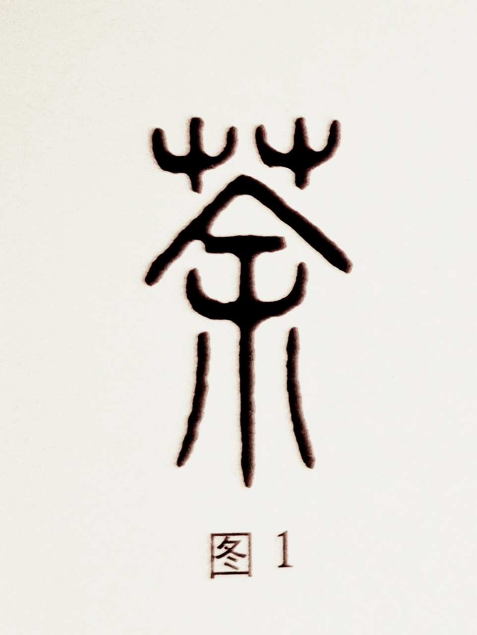 "茶"字和"茶"字的由来和差异