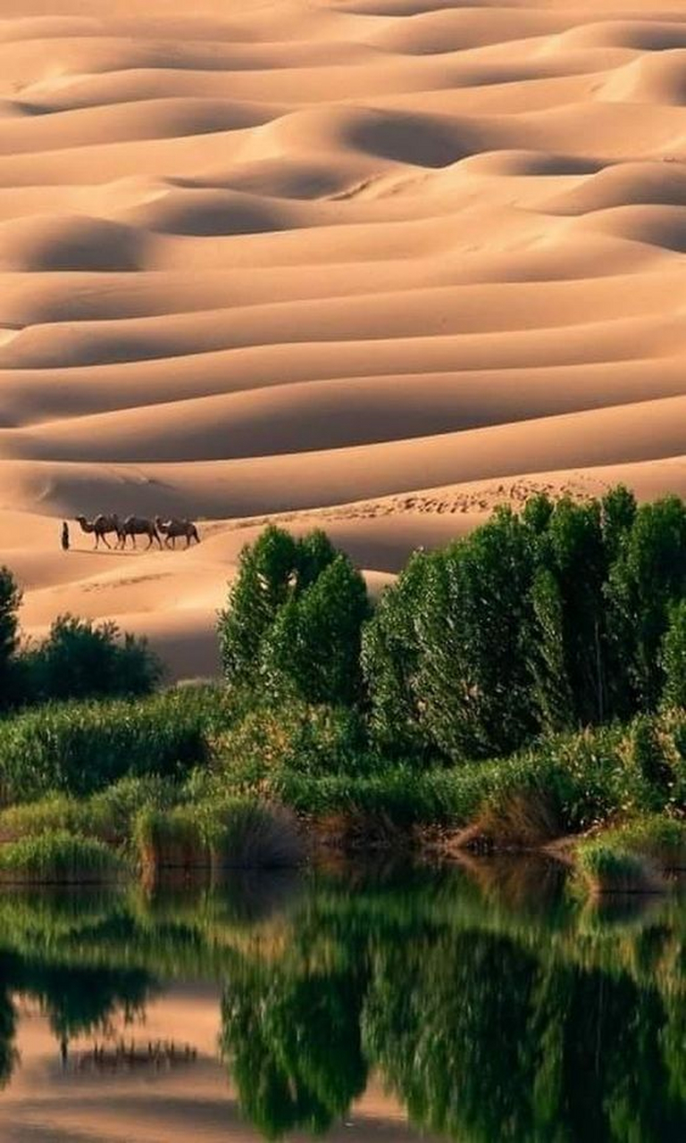 我国最大的沙漠