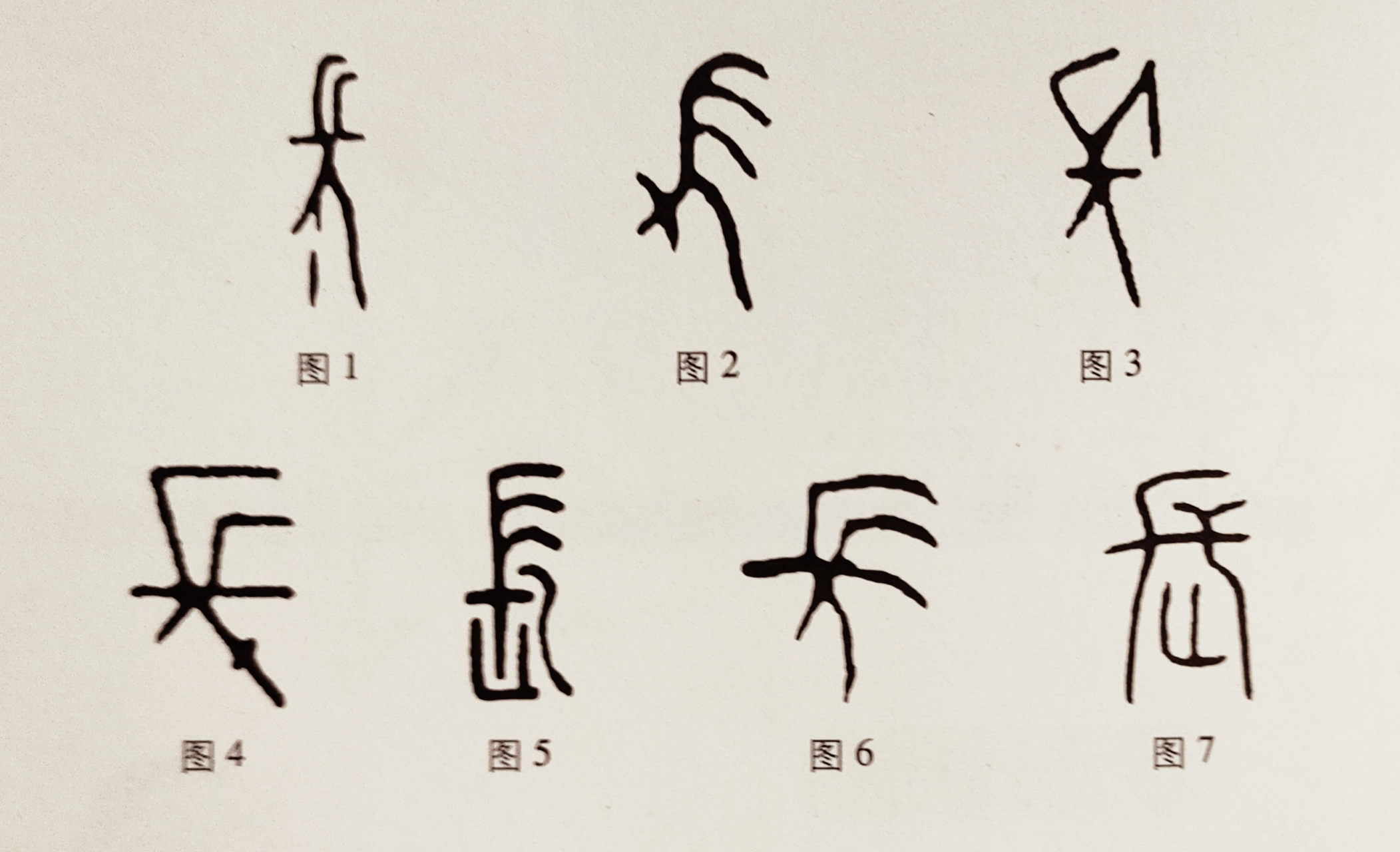 长字的字形演变