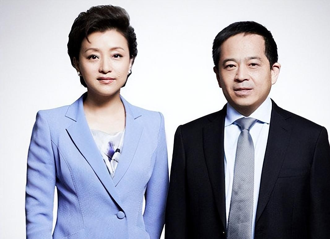 回顾杨澜我与老公早已无爱若再在一块对彼此都是很不公正的