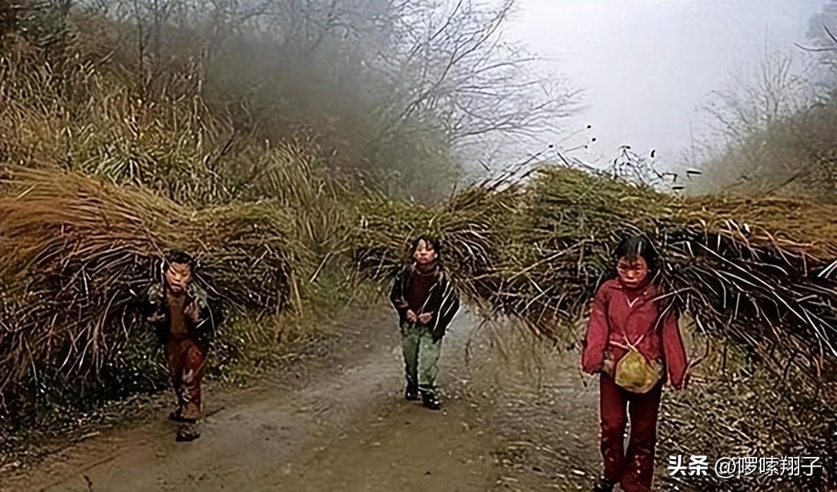 二八大杠小孩骑图片