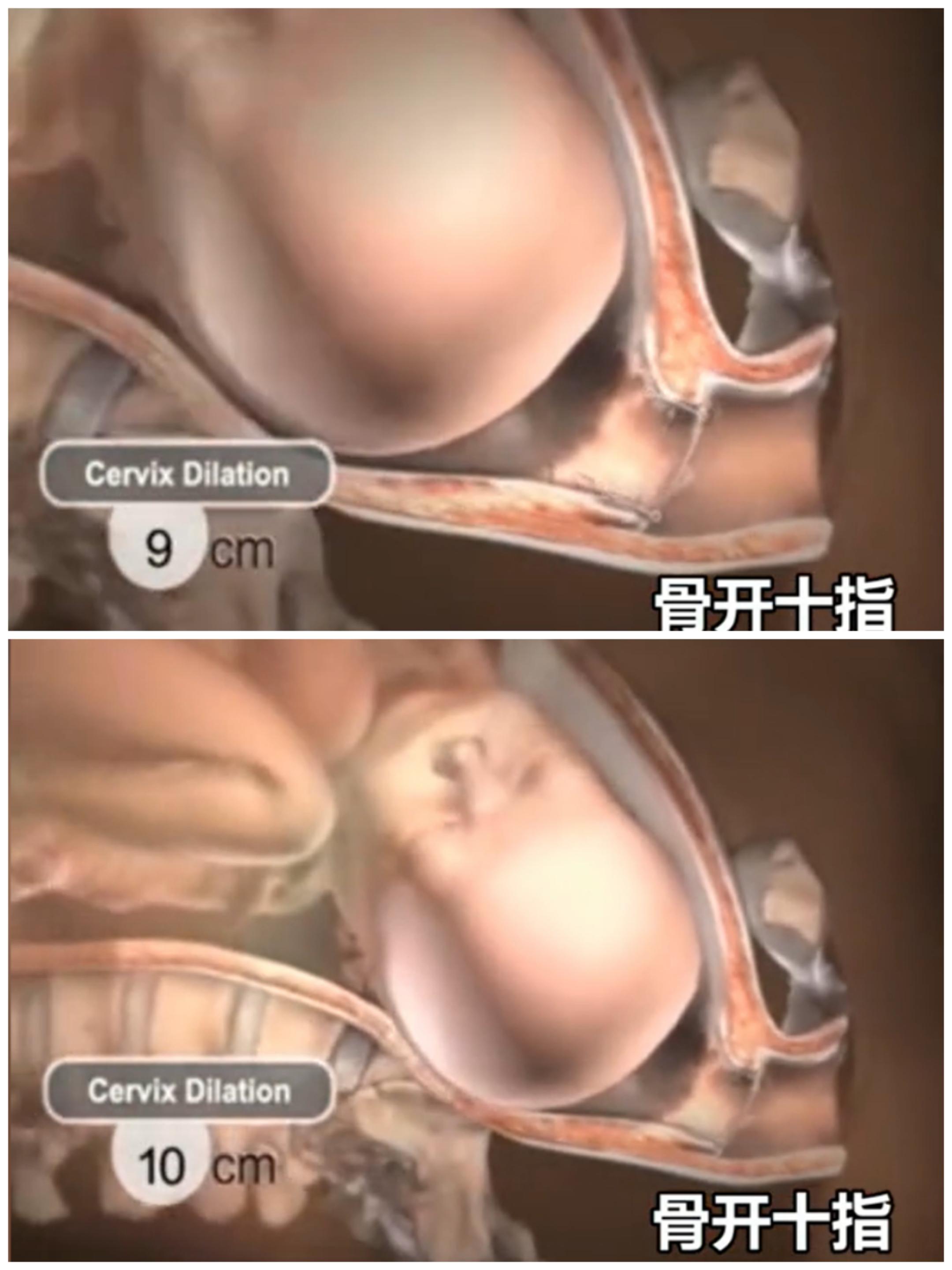 "体验顺产的痛苦:一组3d图揭示母亲的伟大,唤起对生命的感恩"