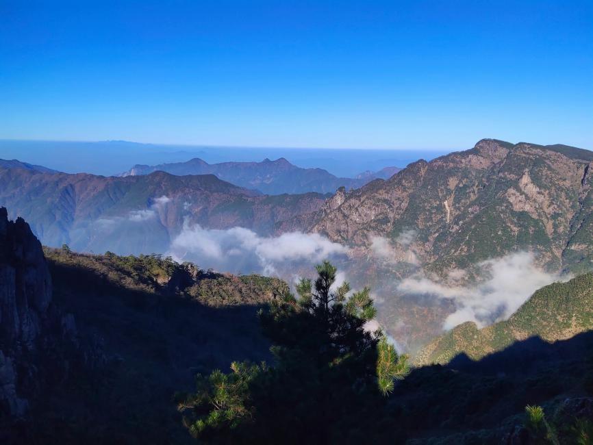 第二年他写了一本《绩溪县野生植物资源开发》,让老百姓发现原来这