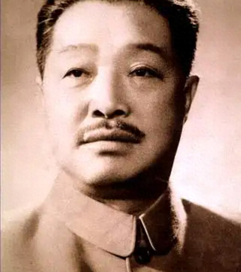 儿子入党当兵要打叛徒父亲开国大典当天才知爸爸是卧底特工