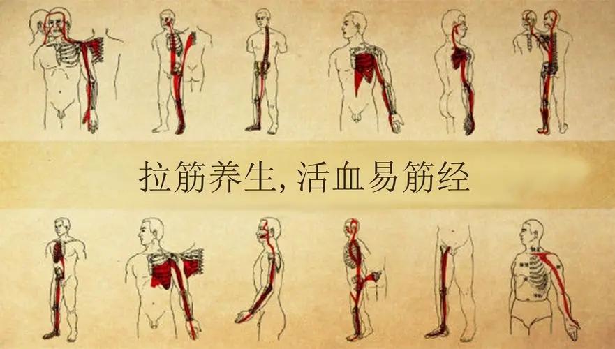 这才是真正的易筋经古法秘传达摩易筋经16势