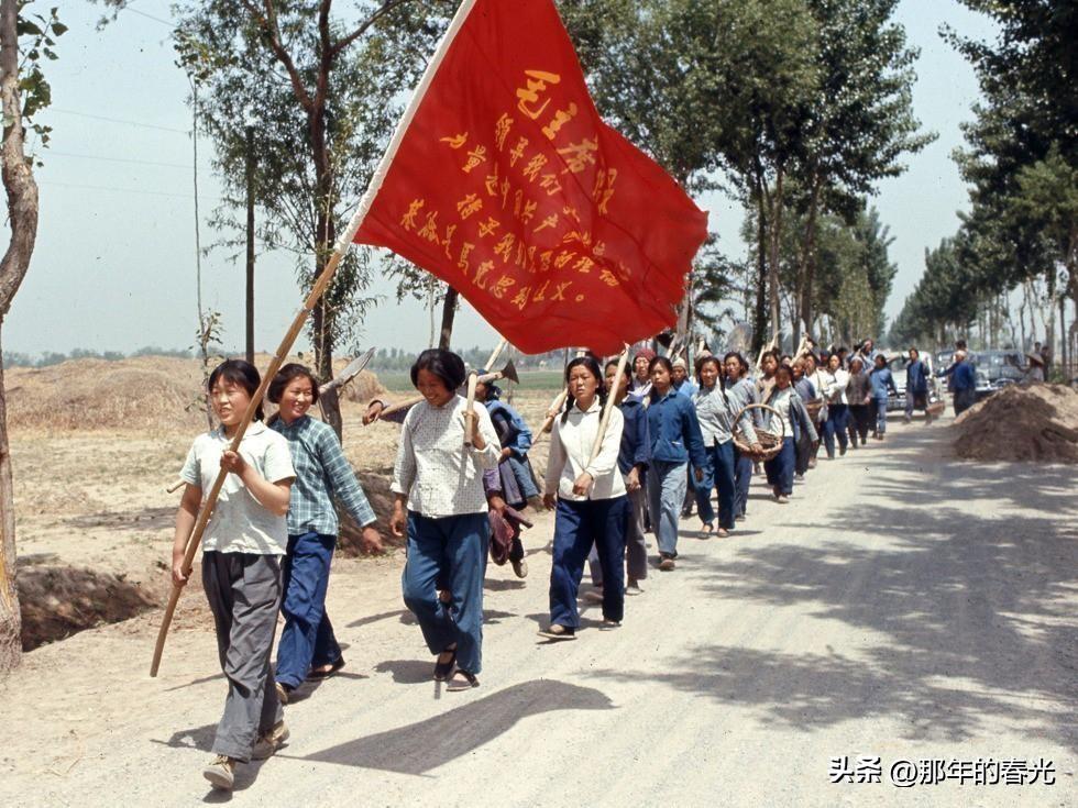 第十五张:1971年,下地劳动的人们