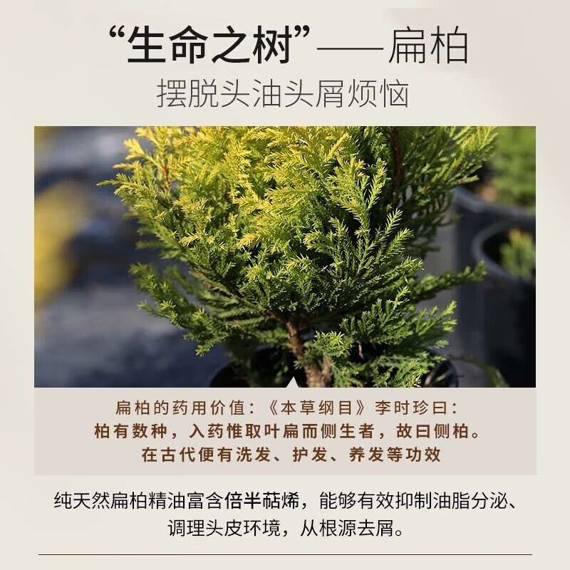 买洗发水时别只挑大牌,这三款性价比高又适用,让头发蓬松控油