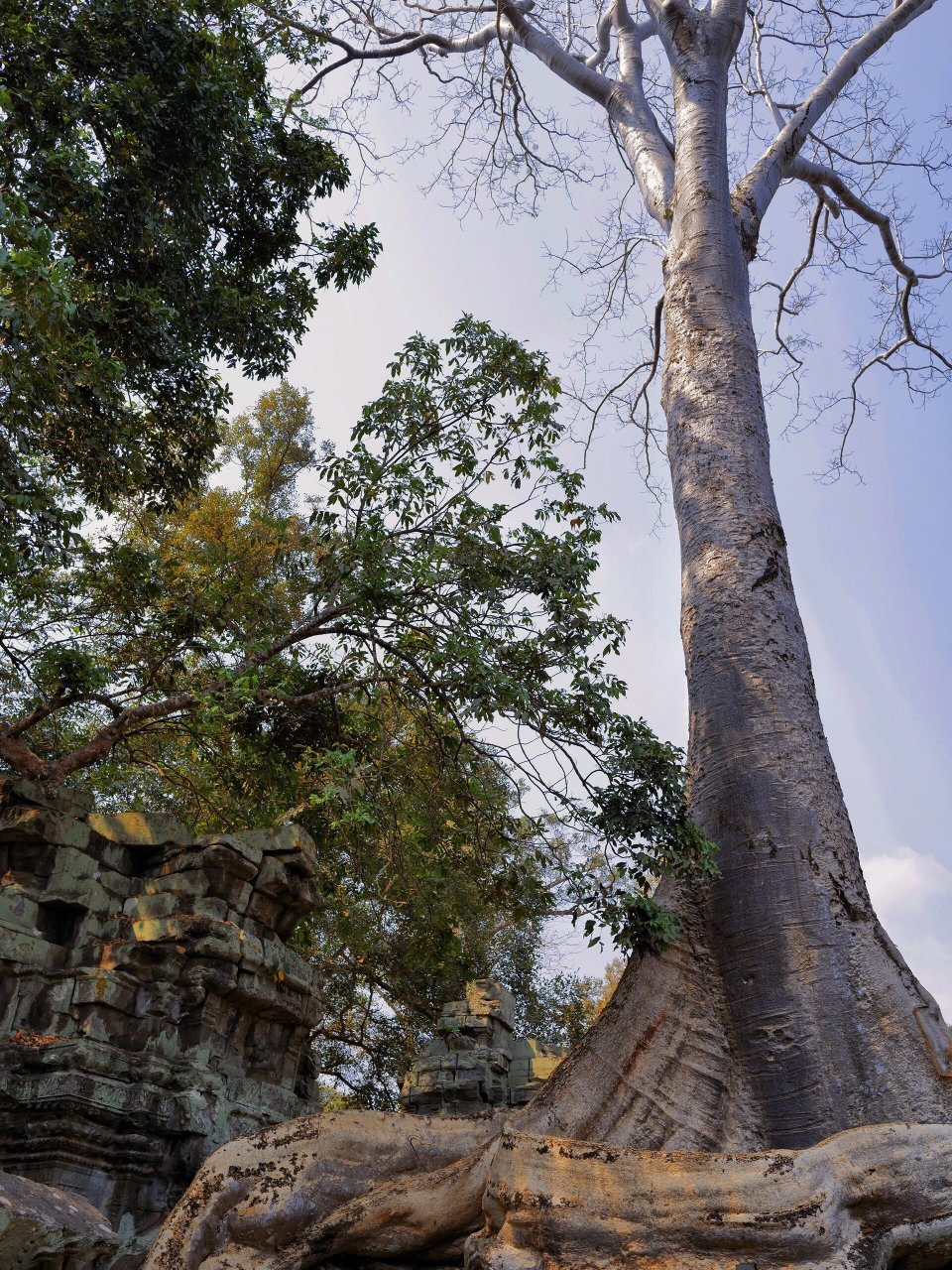 追寻《古墓丽影》的足迹  我刚刚结束了吴哥窟之旅,其中塔普伦寺给我