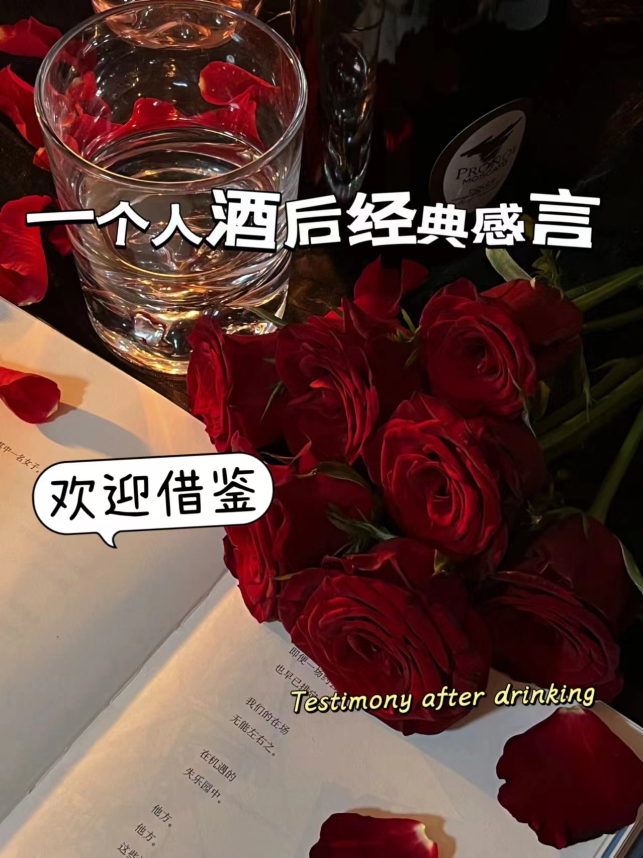 一个人酒后经典感言  每次喝酒后,我都会有一些特别的感受.