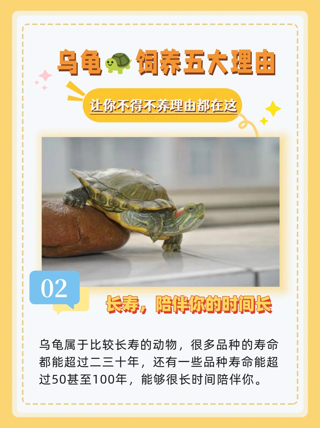 乌龟为什么会叫王八为什么在线 乌龟为什么会叫王八为什么在线