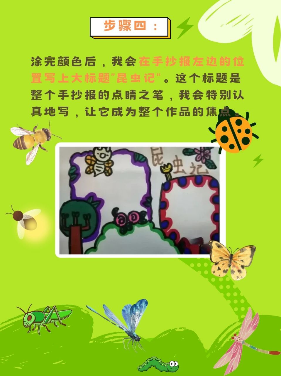 昆虫记怎么画 昆虫记手绘攻略来啦!