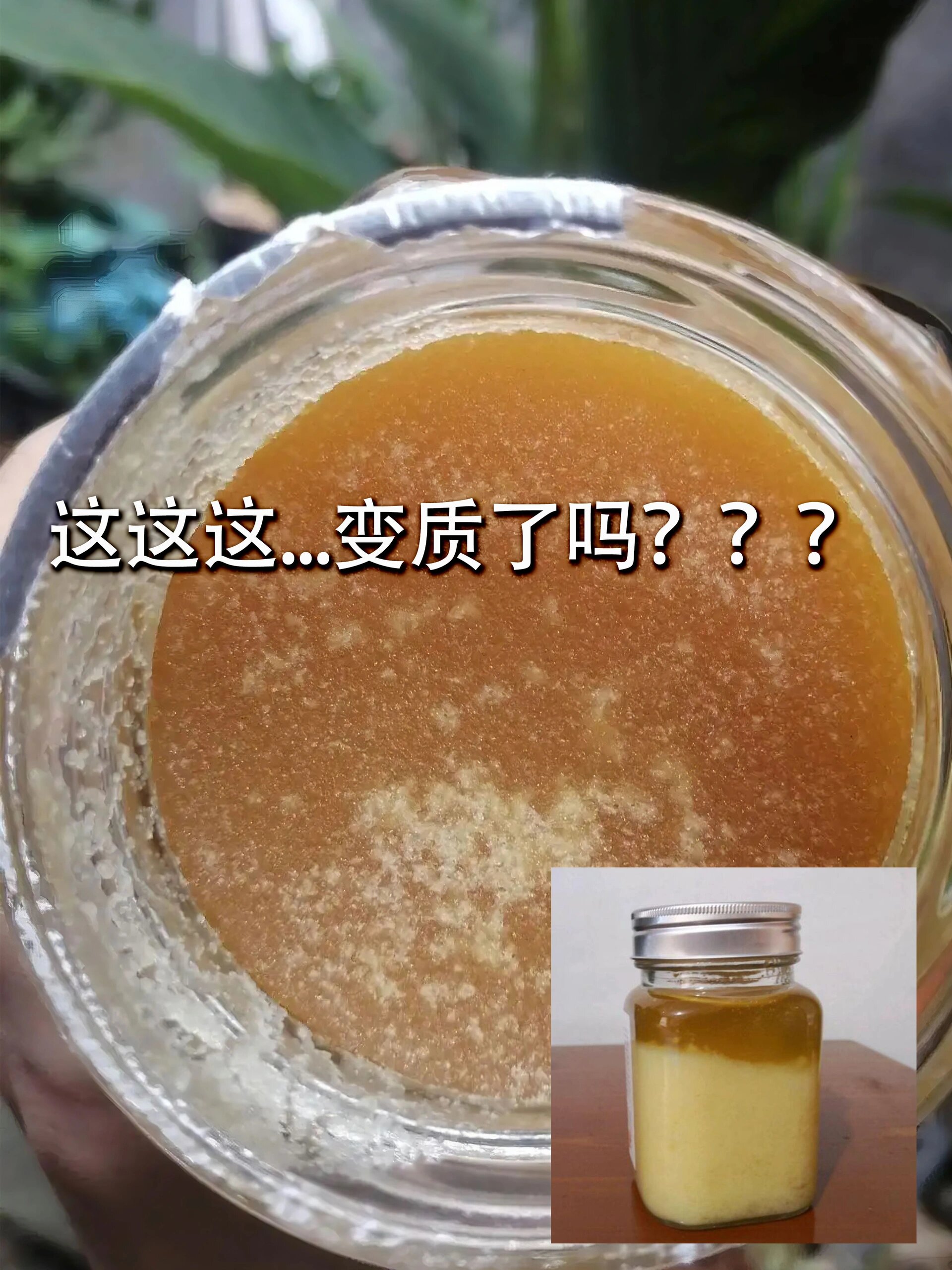 蜂蜜结晶坏了吗(蜂蜜结晶坏了吗怎么处理)