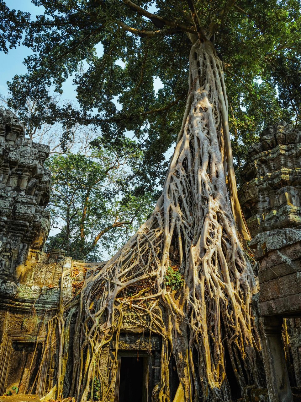 追寻《古墓丽影》的足迹  我刚刚结束了吴哥窟之旅,其中塔普伦寺给我
