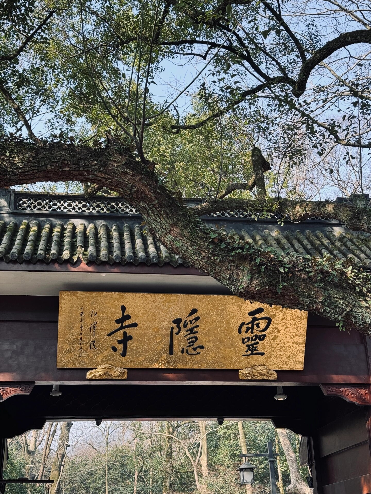 法喜寺太灵了