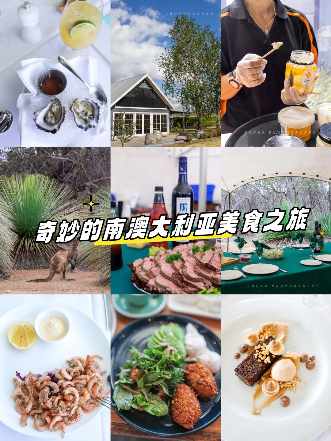 一场奇妙的南澳大利亚美食之旅