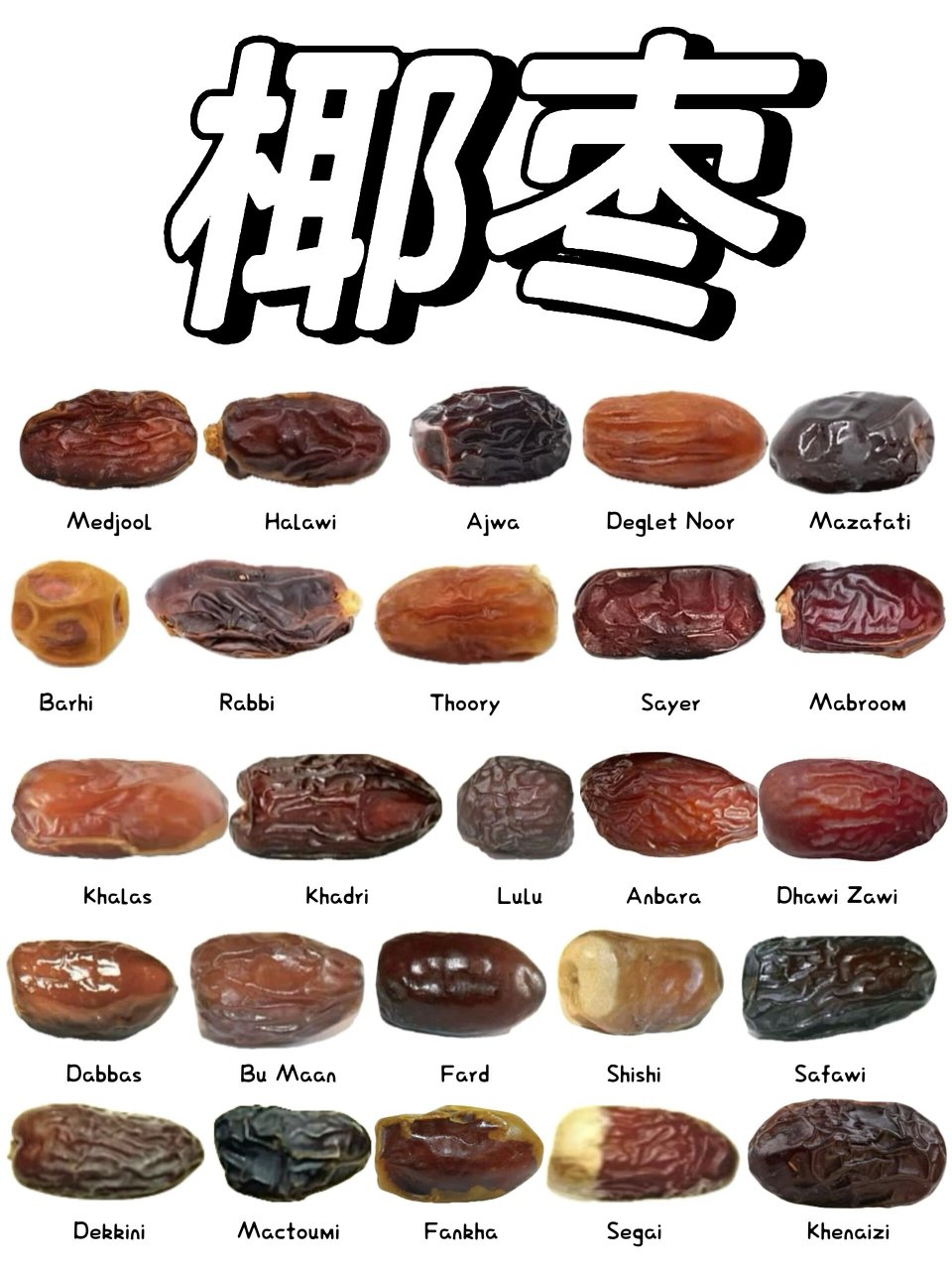 从此便开始收集各种不同的椰枣.