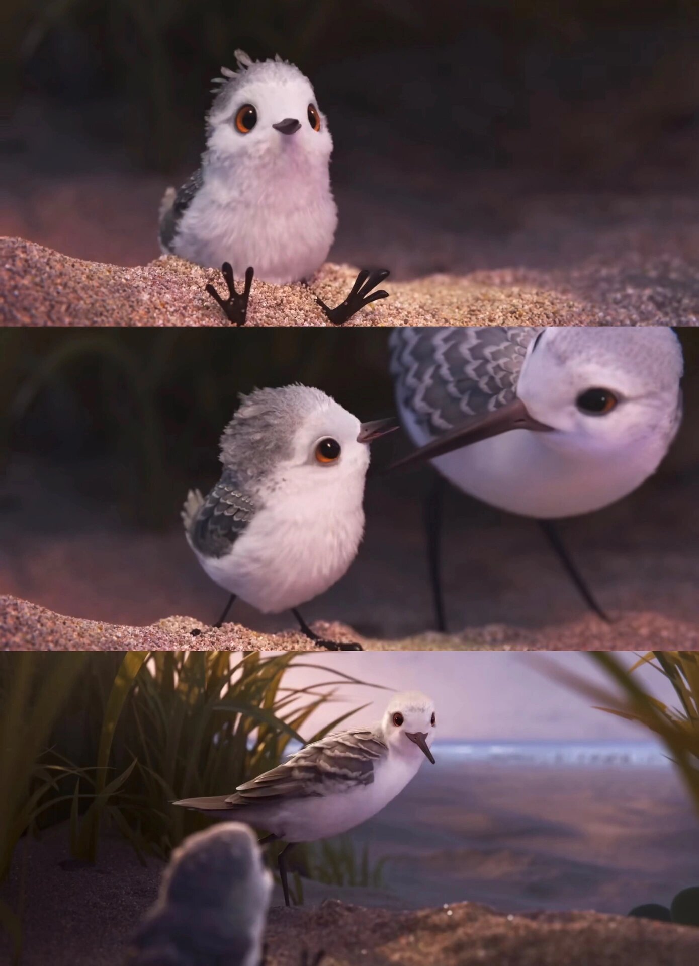 《鹬》/《piper》——超级治愈的动画短片  这部短片获得了第 89 届