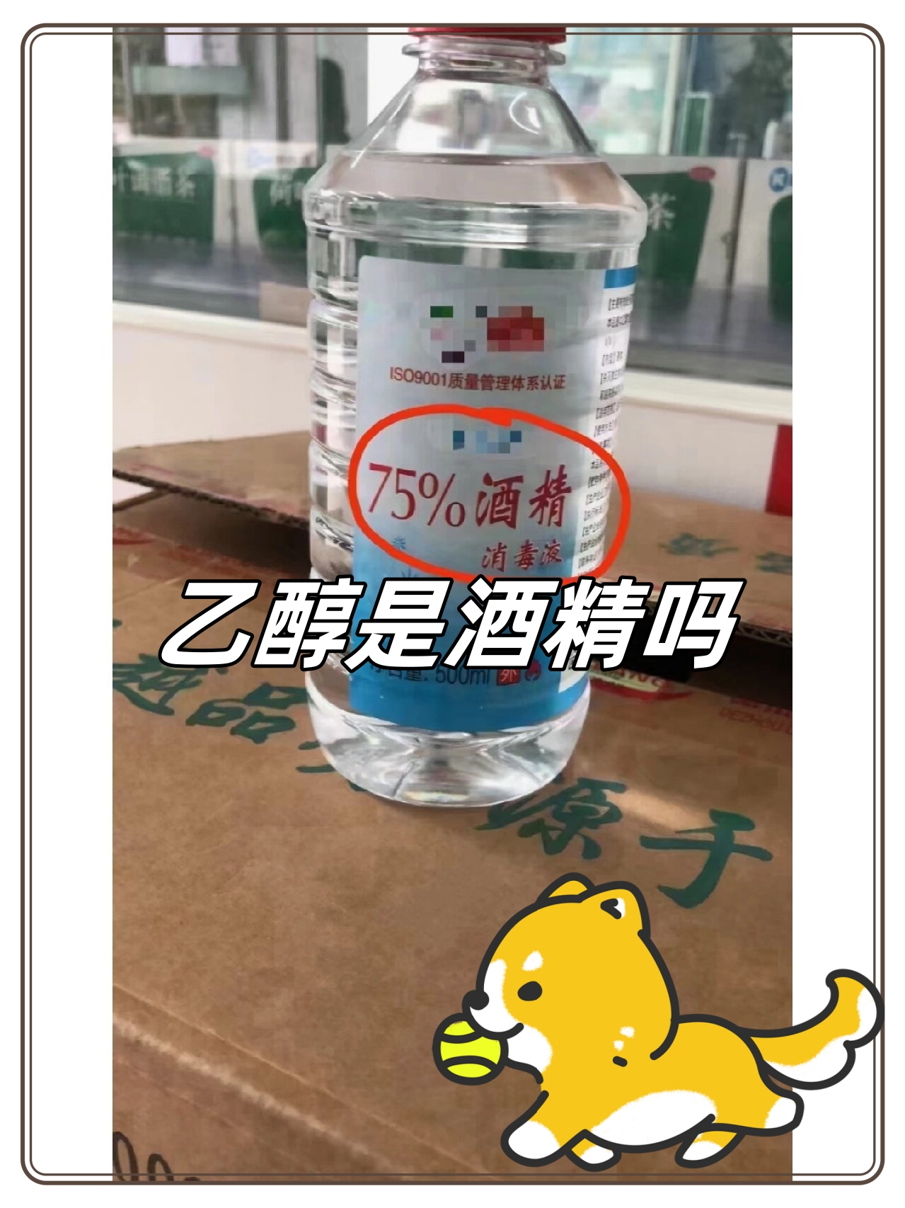 乙醇是酒精吗