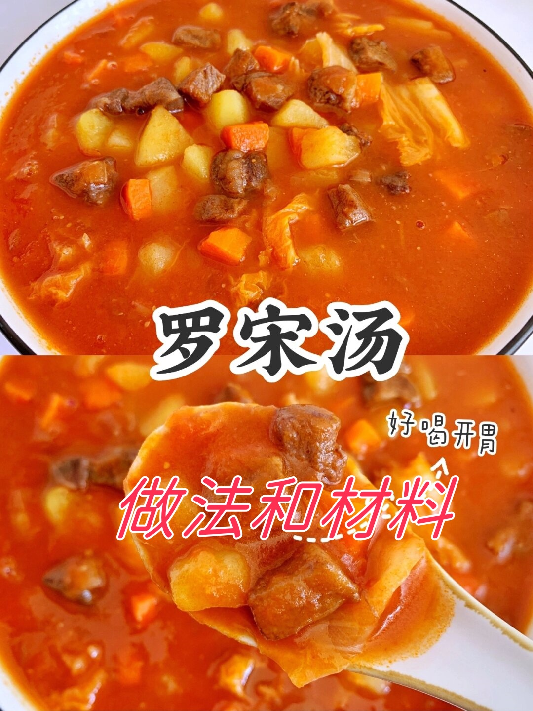 罗宋汤的做法和材料