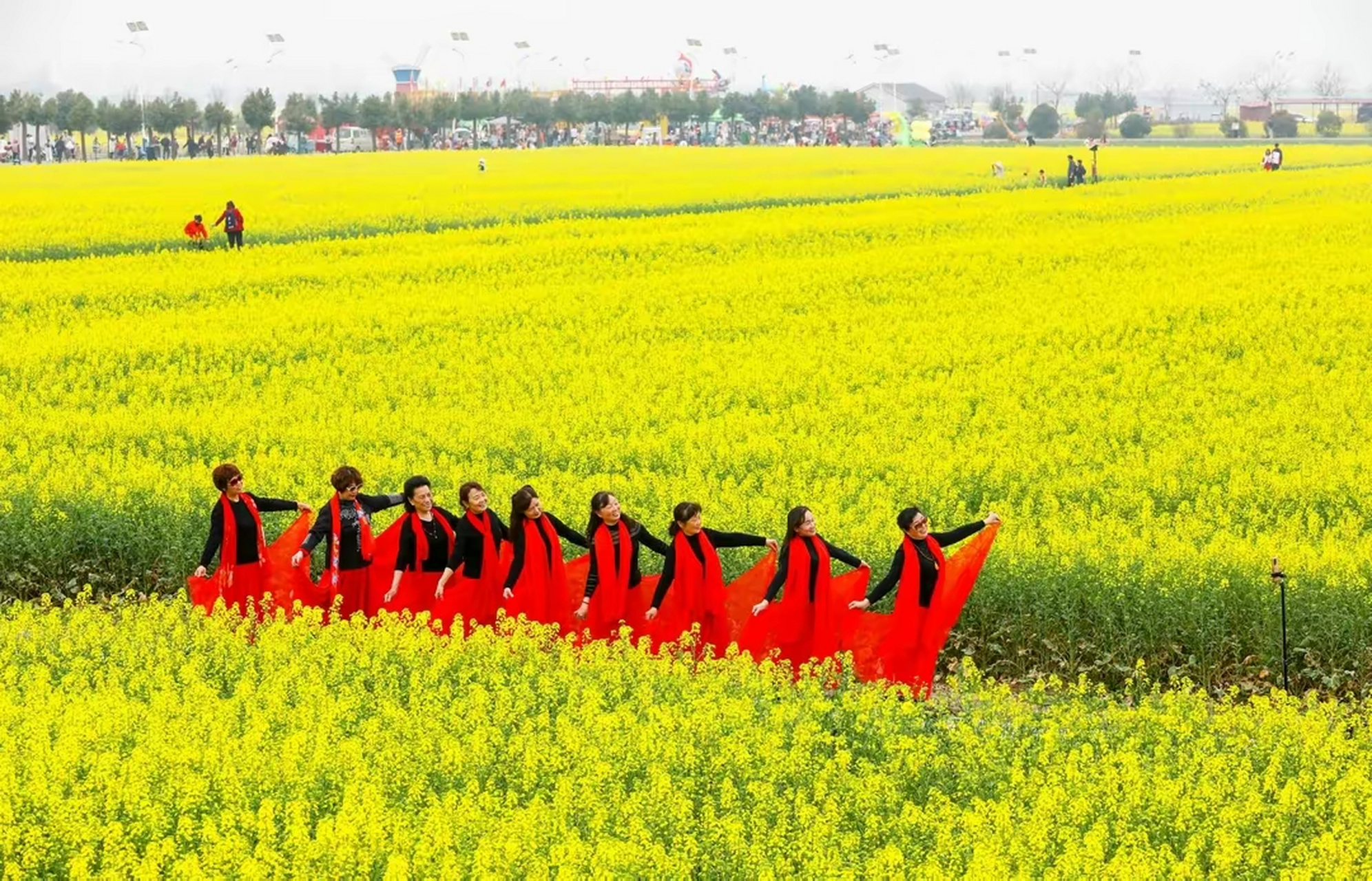 蔡甸消泗油菜花门票图片