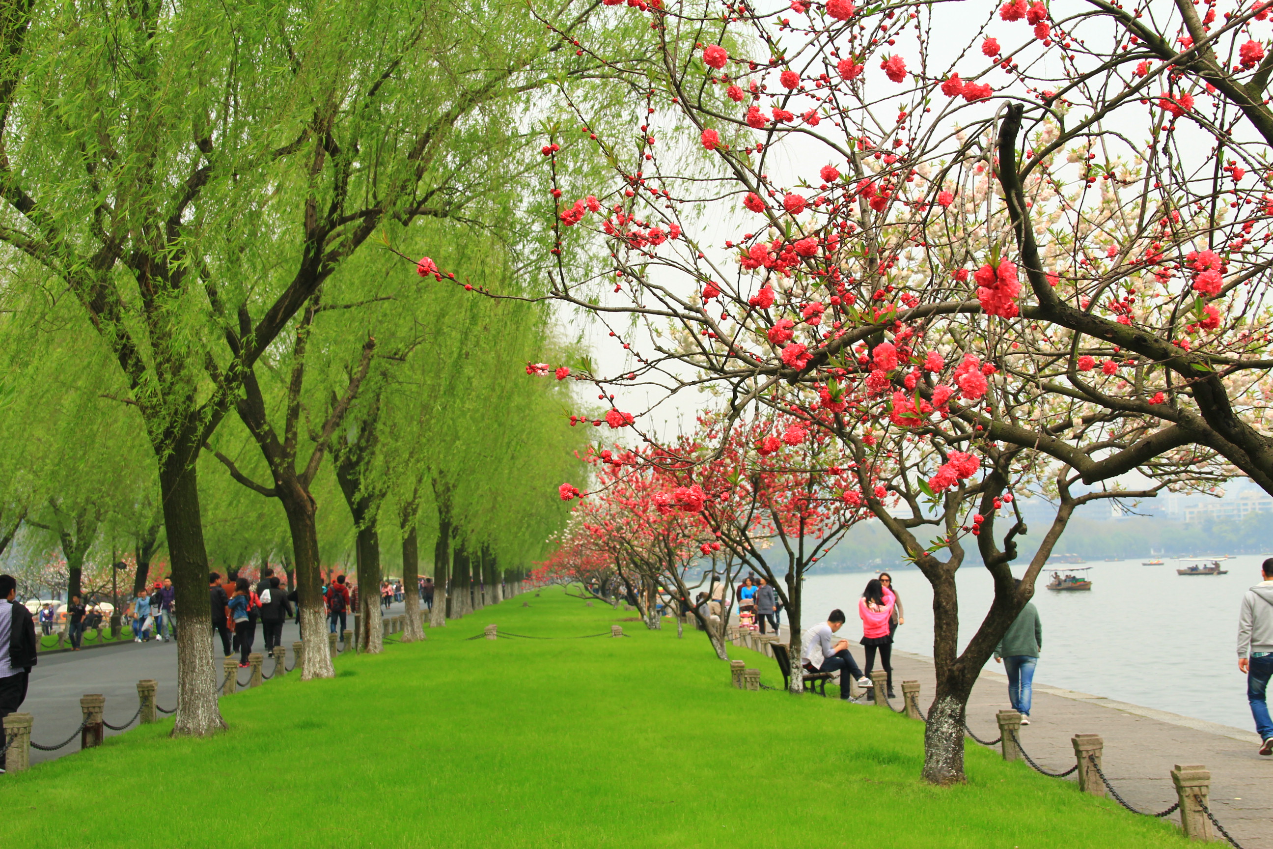 七律·杭城(竹榭同题)