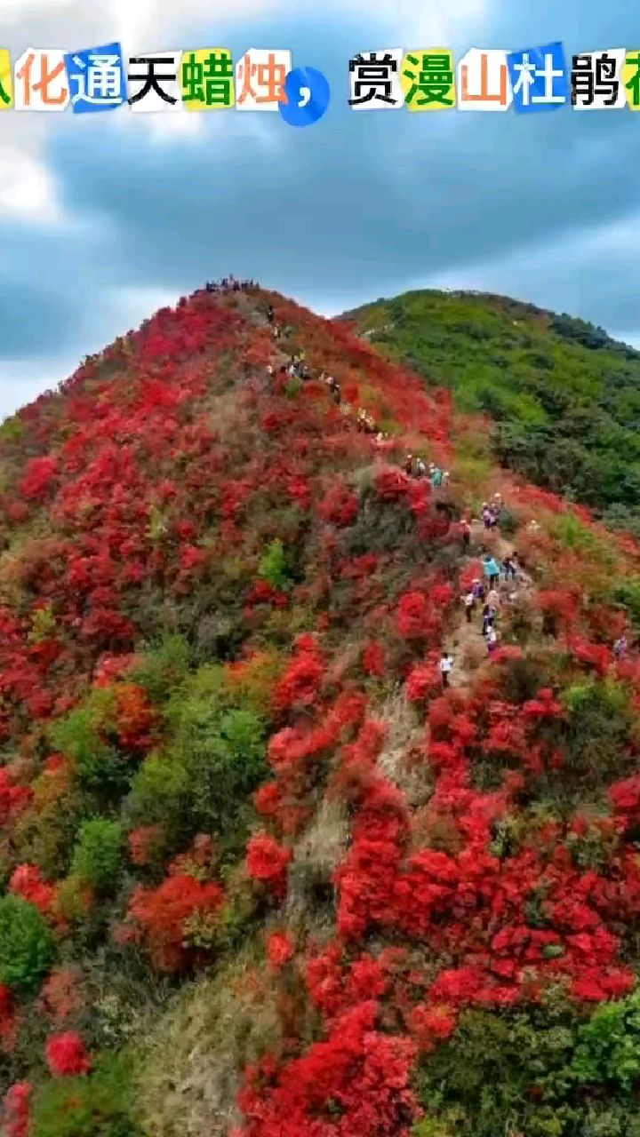 从化通天蜡烛山简介图片